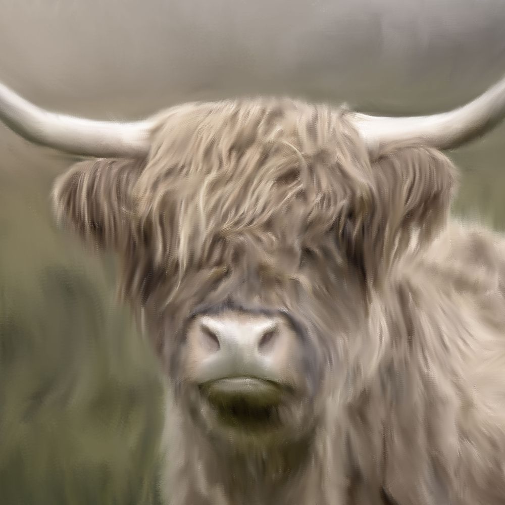 Highland art print by Kimberly Allen for $57.95 CAD