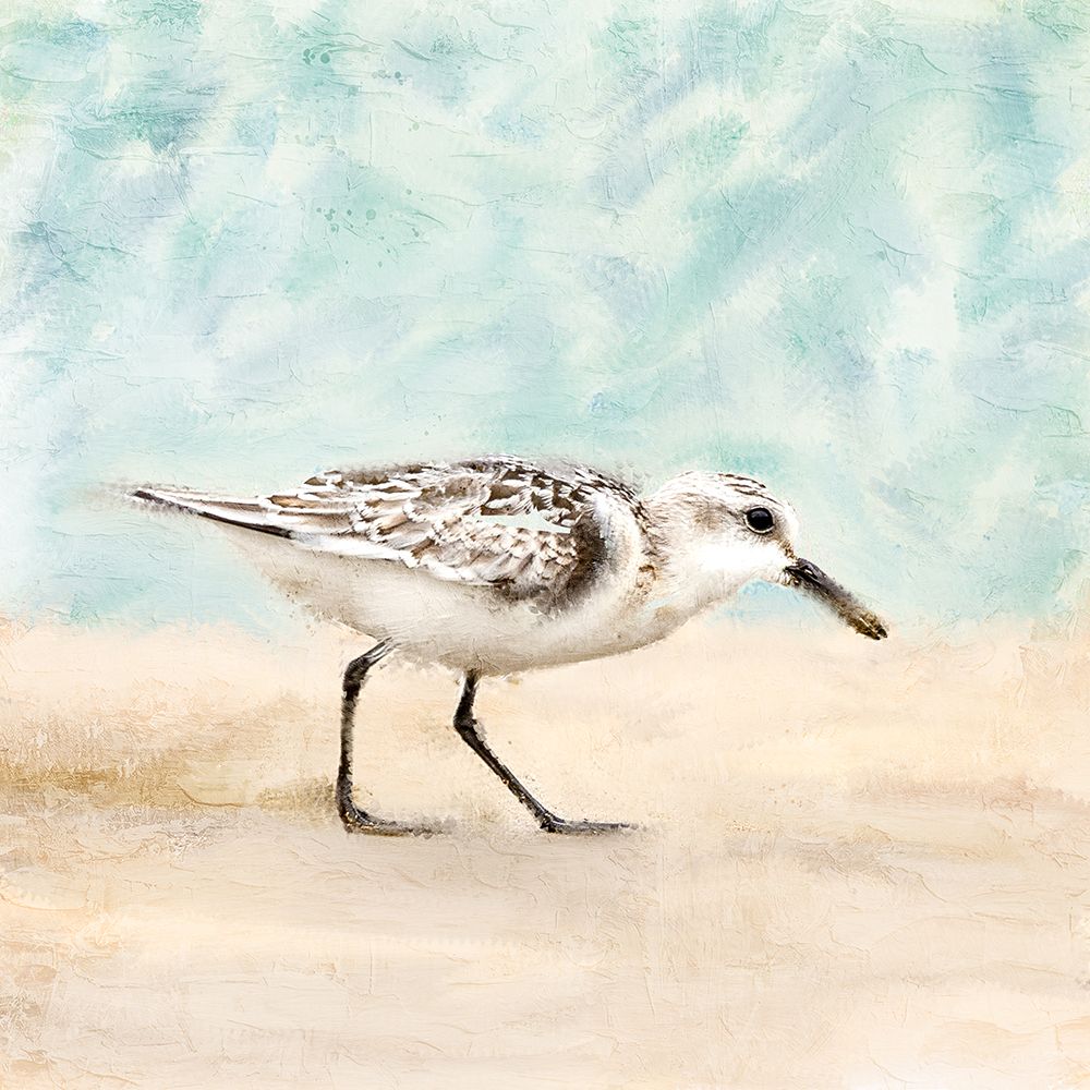Sandpiper Walk 1 art print by Kimberly Allen for $57.95 CAD
