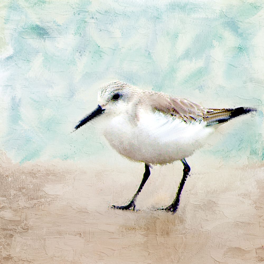 Sandpiper Walk 2 art print by Kimberly Allen for $57.95 CAD