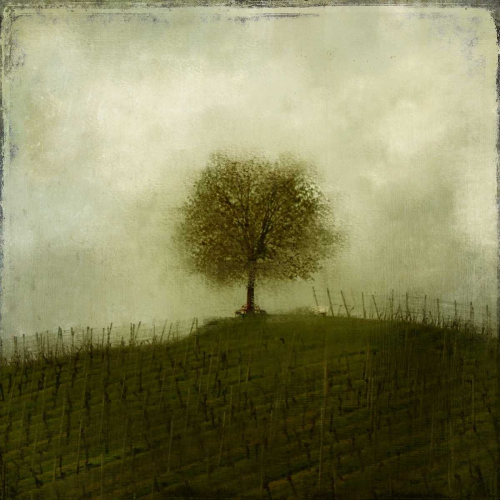 Top of the Hill art print by Kimberly Allen for $57.95 CAD