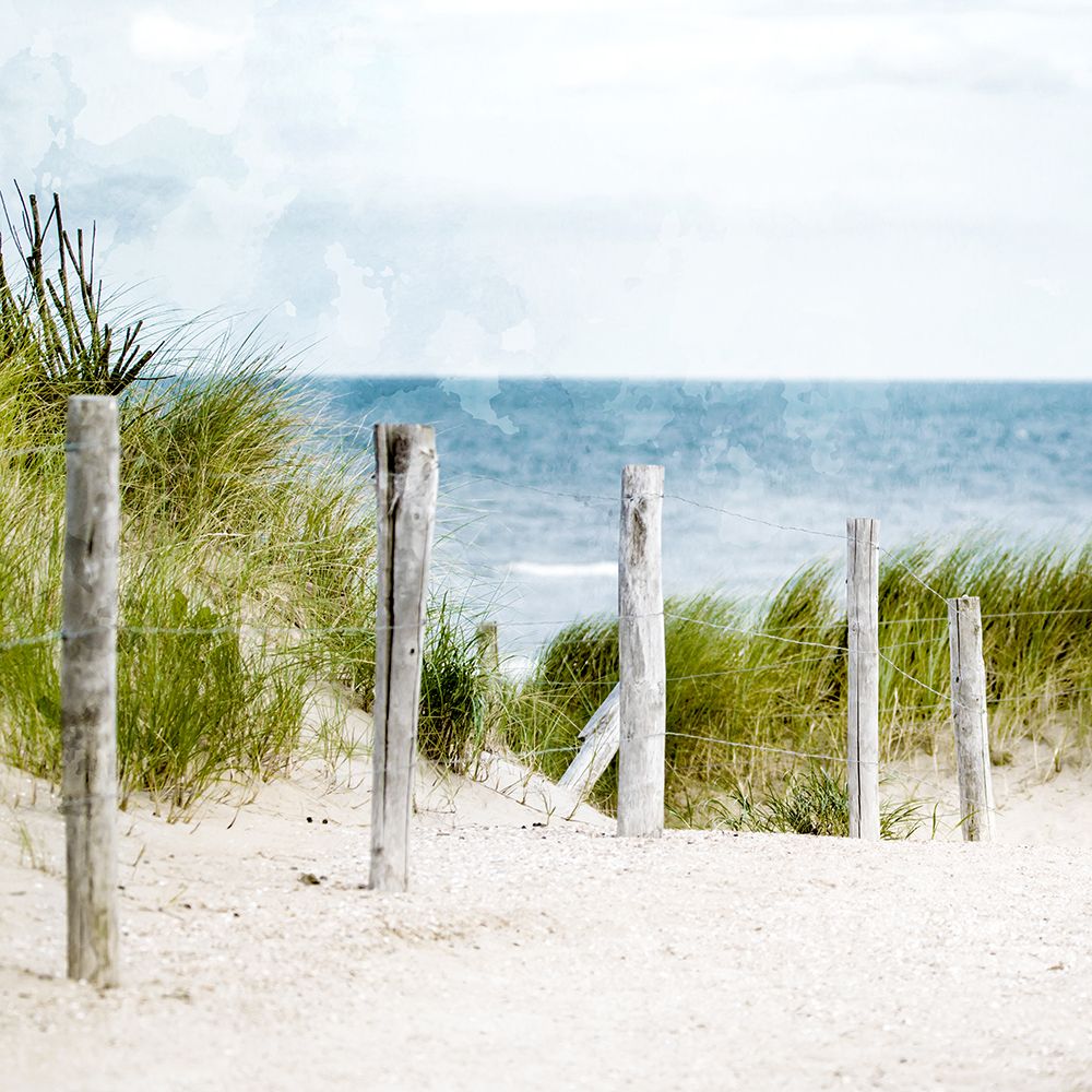 Pathway To The Beach art print by Kimberly Allen for $57.95 CAD