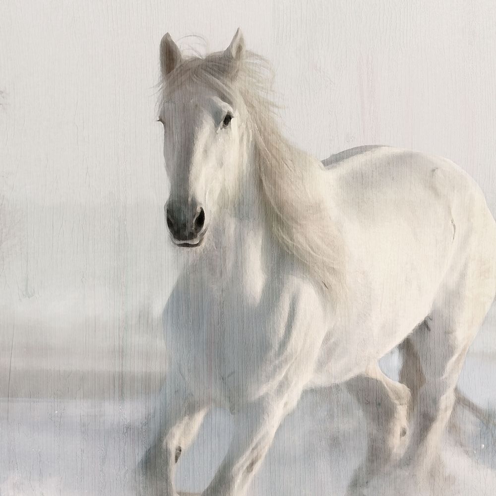 Wildflower Horse V2 art print by Kimberly Allen for $57.95 CAD