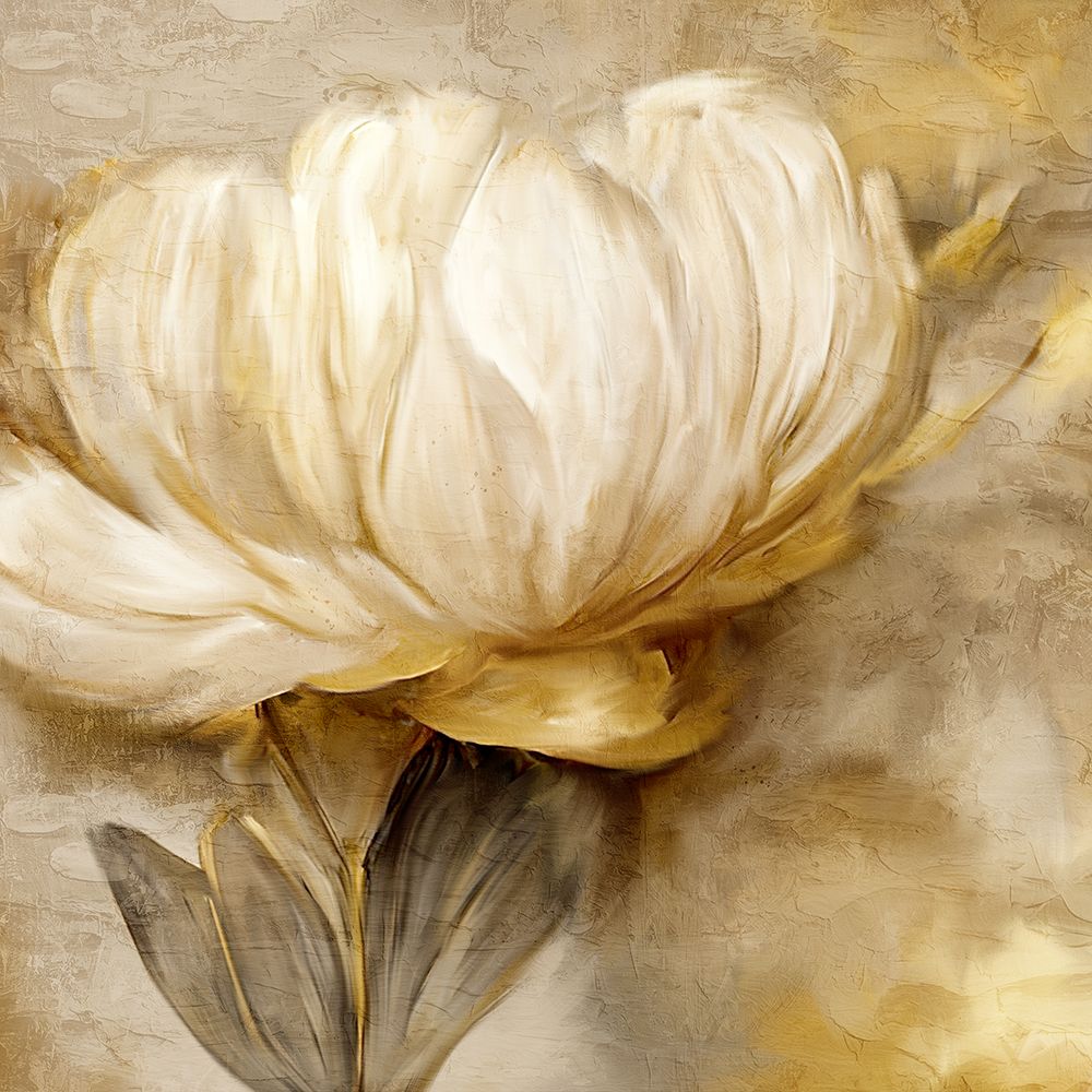 Golden art print by Kimberly Allen for $57.95 CAD