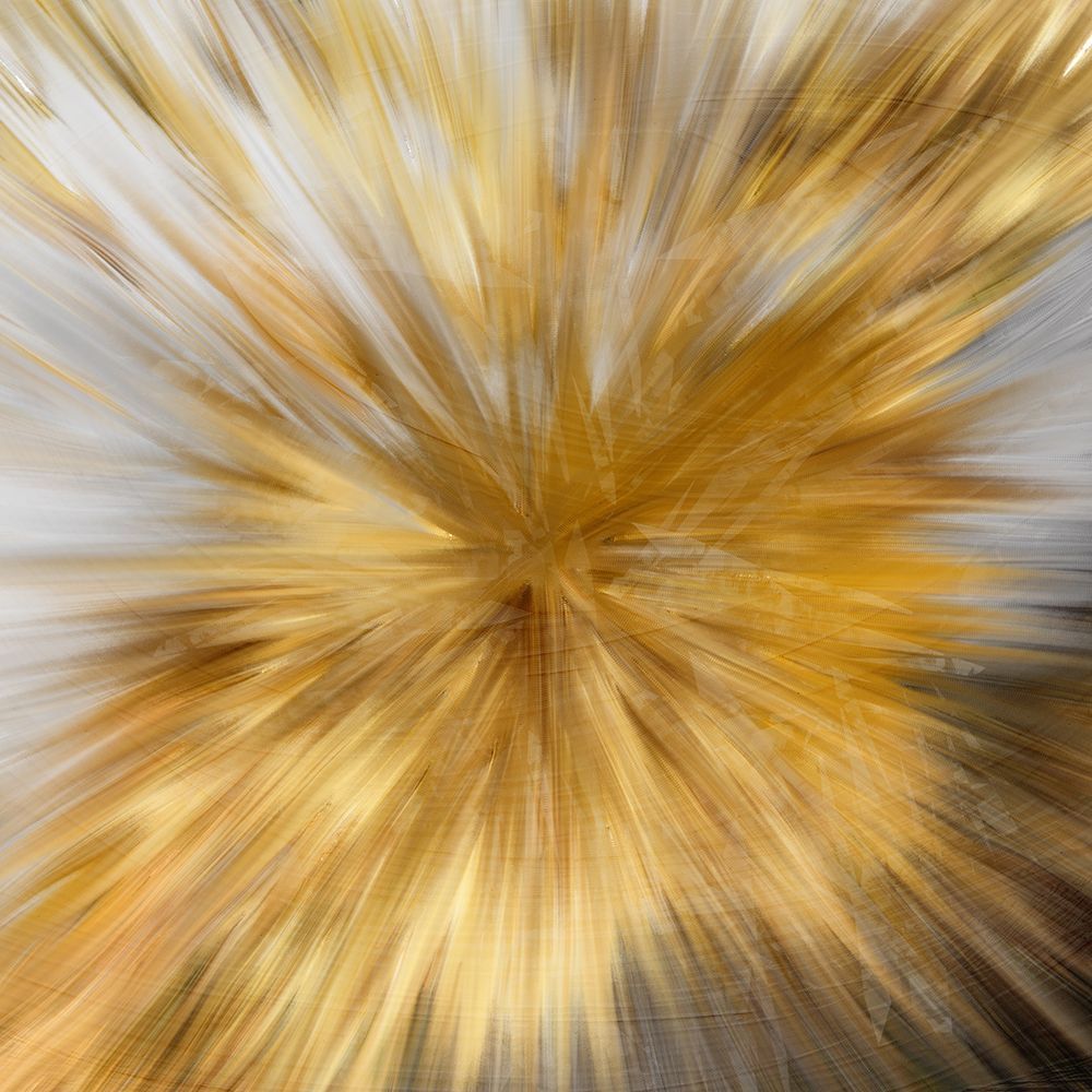 Light art print by Kimberly Allen for $57.95 CAD