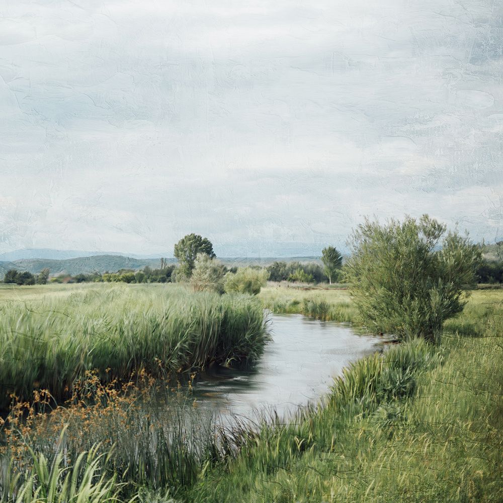 Upstream art print by Kimberly Allen for $57.95 CAD