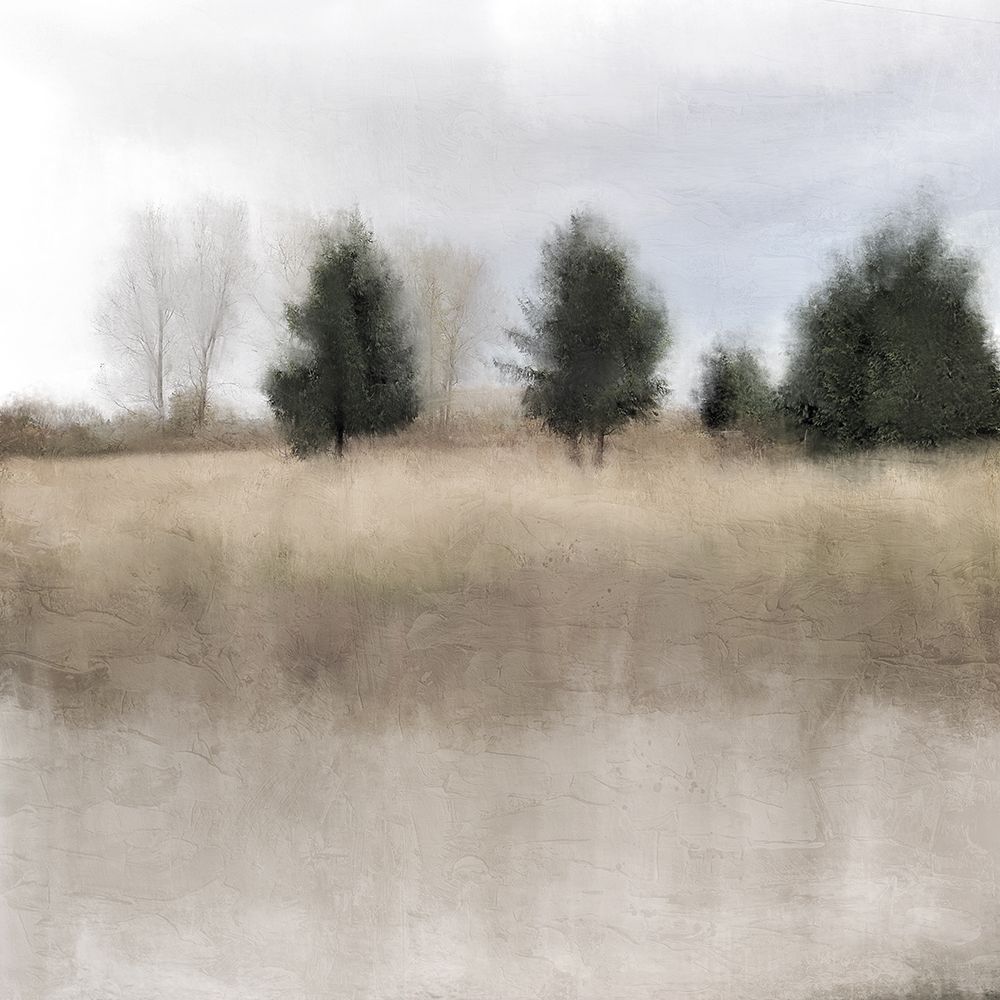 Serene art print by Kimberly Allen for $57.95 CAD