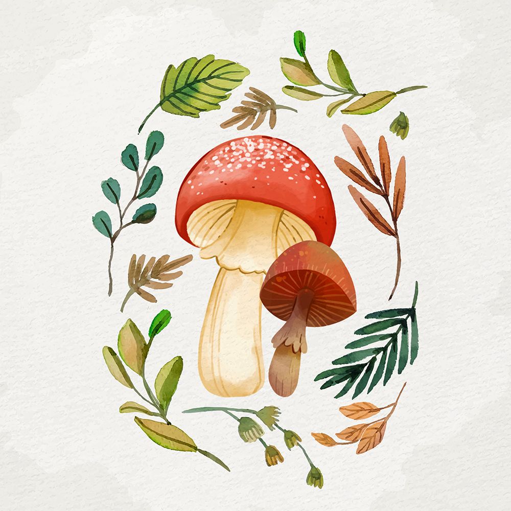 Mushroom And Leaves 1 art print by Kimberly Allen for $57.95 CAD