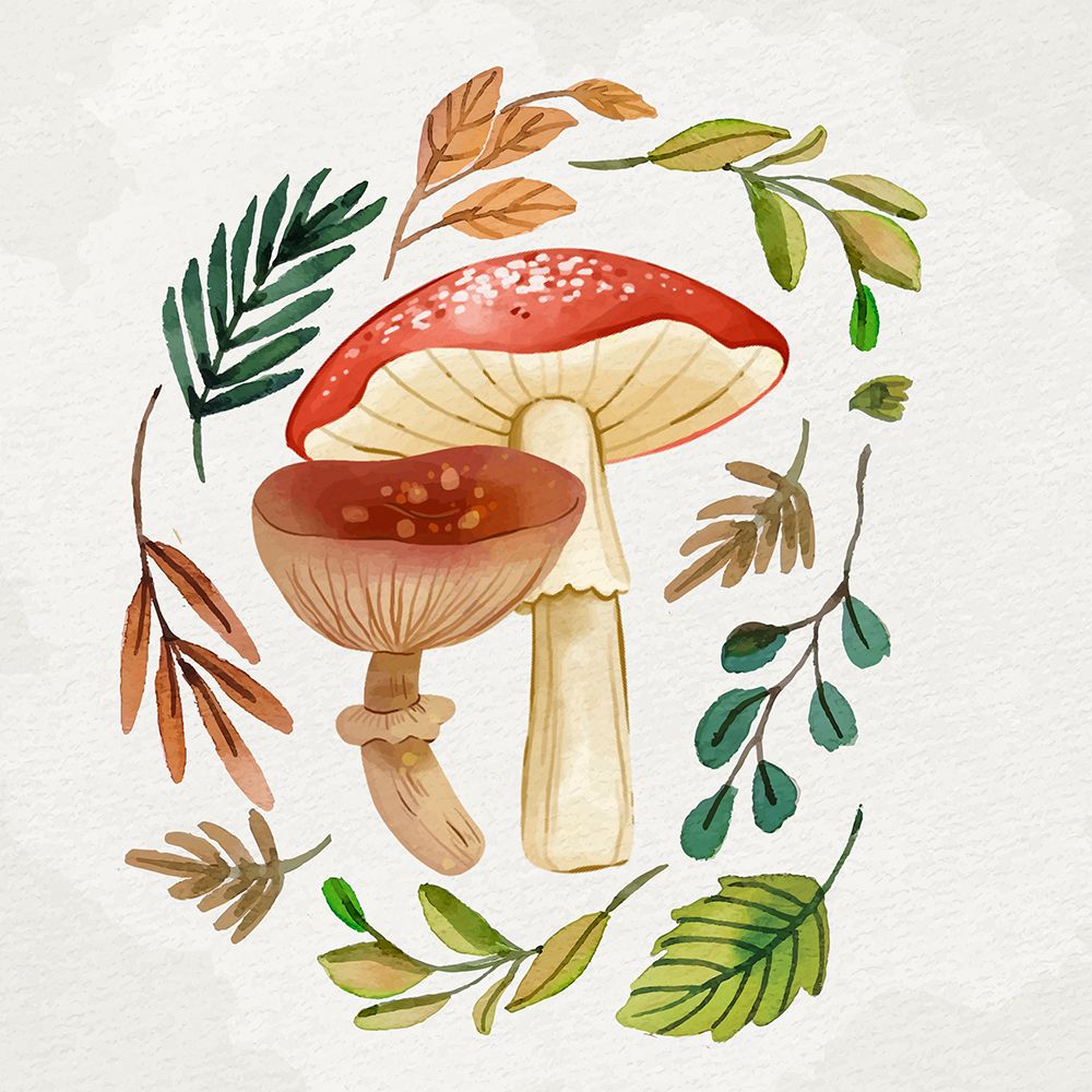 Mushroom And Leaves 2 art print by Kimberly Allen for $57.95 CAD