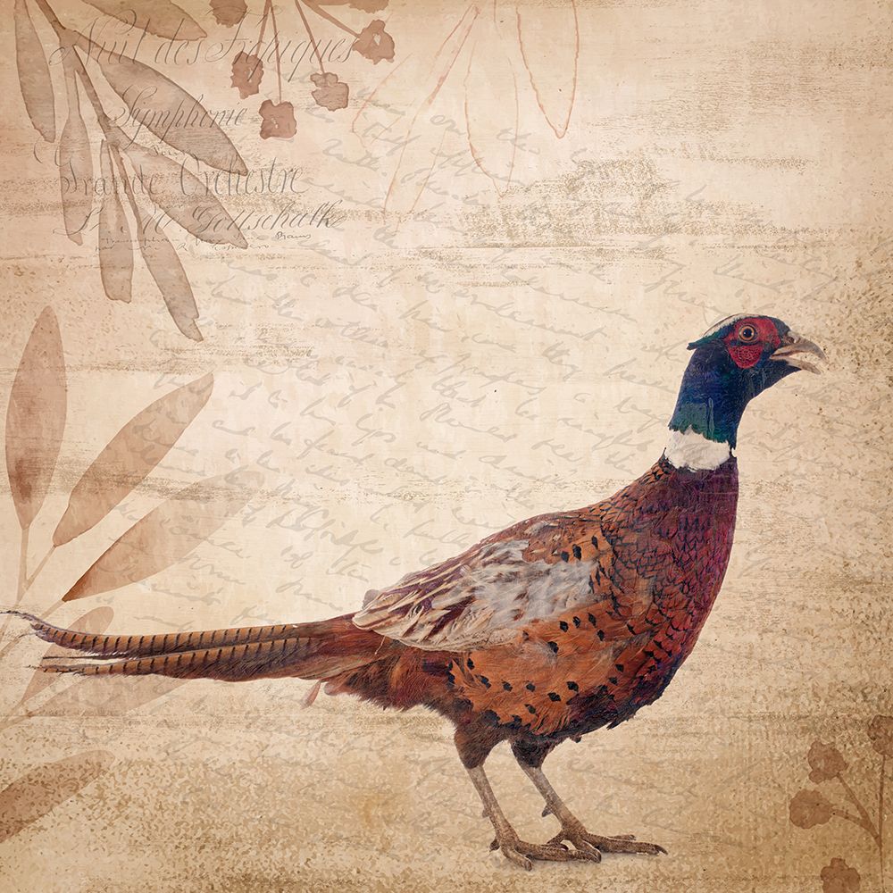 Pheasants 1 art print by Kimberly Allen for $57.95 CAD