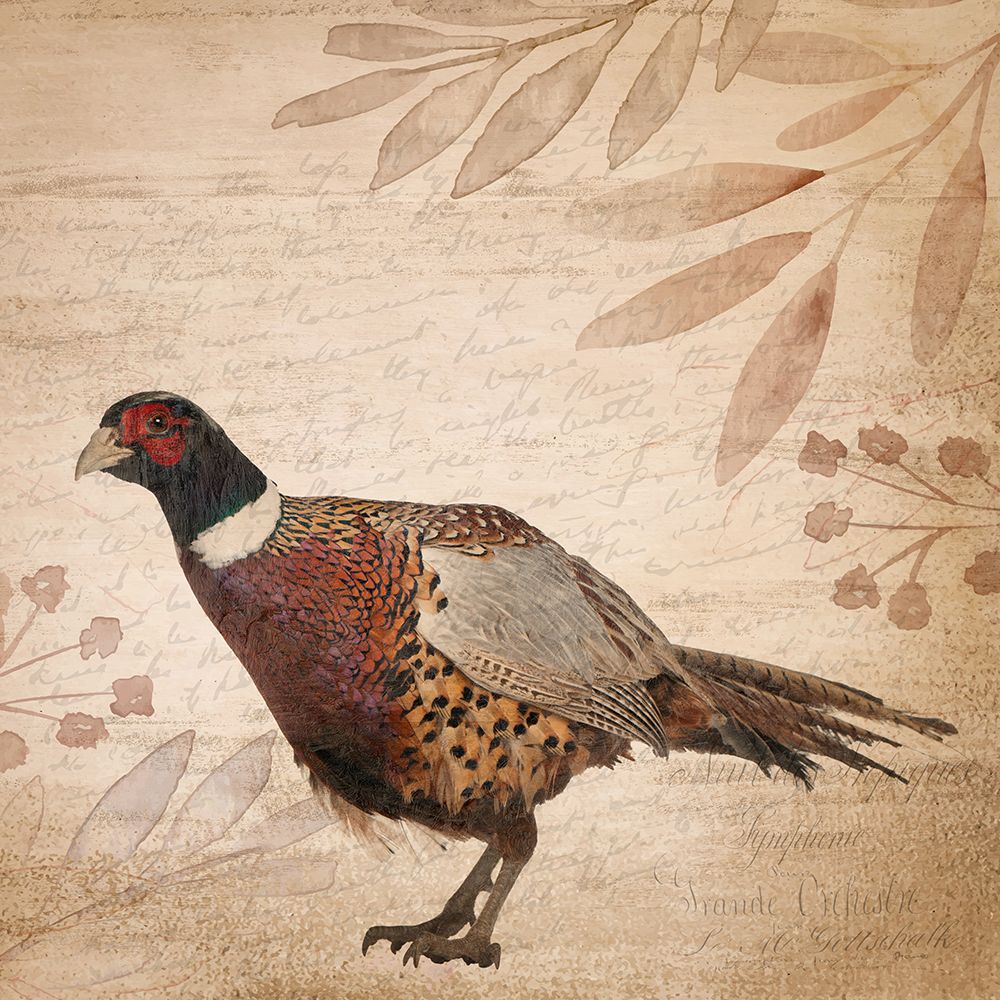 Pheasants 2 art print by Kimberly Allen for $57.95 CAD