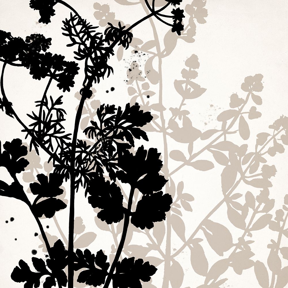 Botanical Black 1 art print by Kimberly Allen for $57.95 CAD