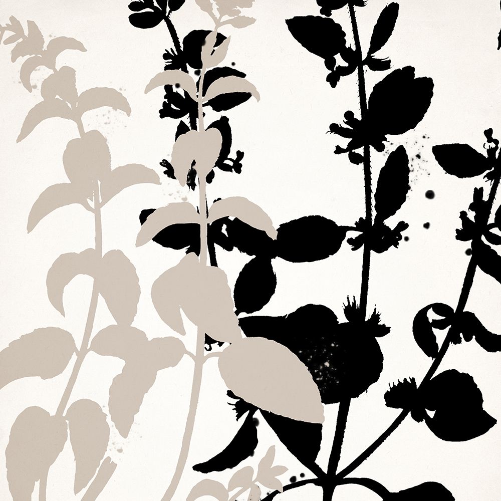 Botanical Black 2 art print by Kimberly Allen for $57.95 CAD
