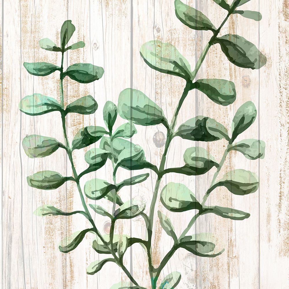 Wooden Greens Square 2 art print by Kimberly Allen for $57.95 CAD