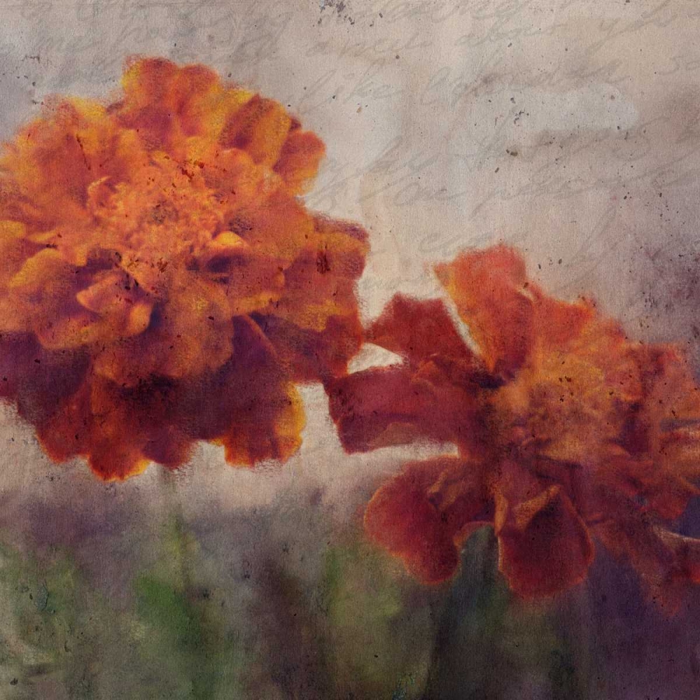 Vintage Floral art print by Kimberly Allen for $57.95 CAD