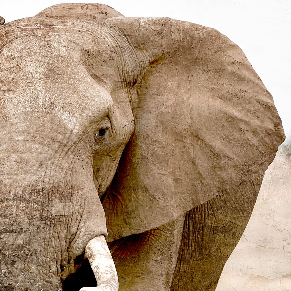 Up Close 1 art print by Kimberly Allen for $57.95 CAD