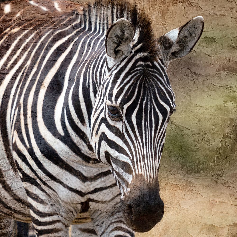Up Close 2 art print by Kimberly Allen for $57.95 CAD