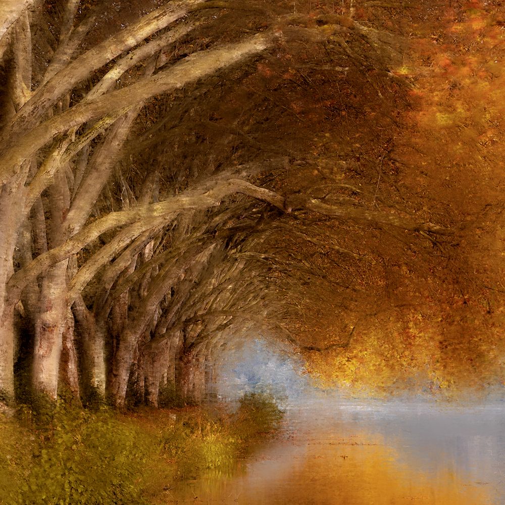 Quiet Reflection art print by Kimberly Allen for $57.95 CAD