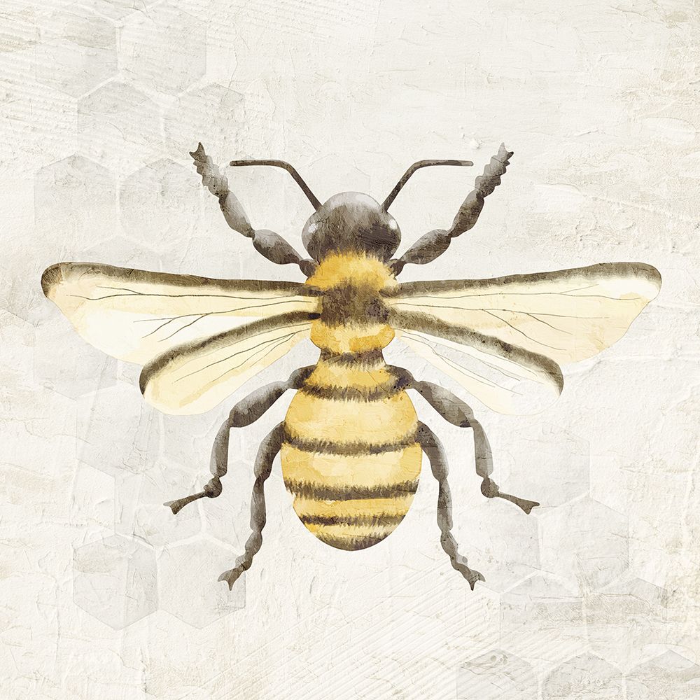 Honeybee 1 art print by Kimberly Allen for $57.95 CAD