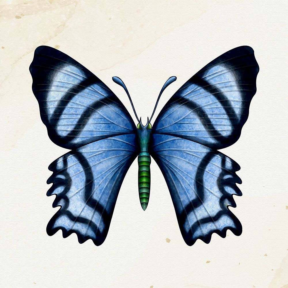 Spring Flight 1 art print by Kimberly Allen for $57.95 CAD