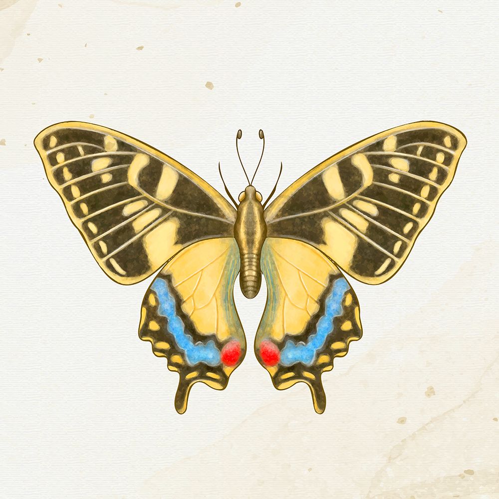 Spring Flight 2 art print by Kimberly Allen for $57.95 CAD