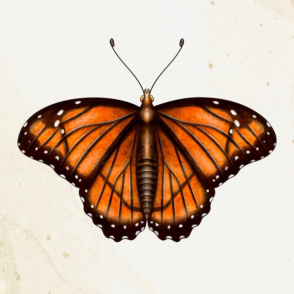 Spring Flight 3 art print by Kimberly Allen for $57.95 CAD