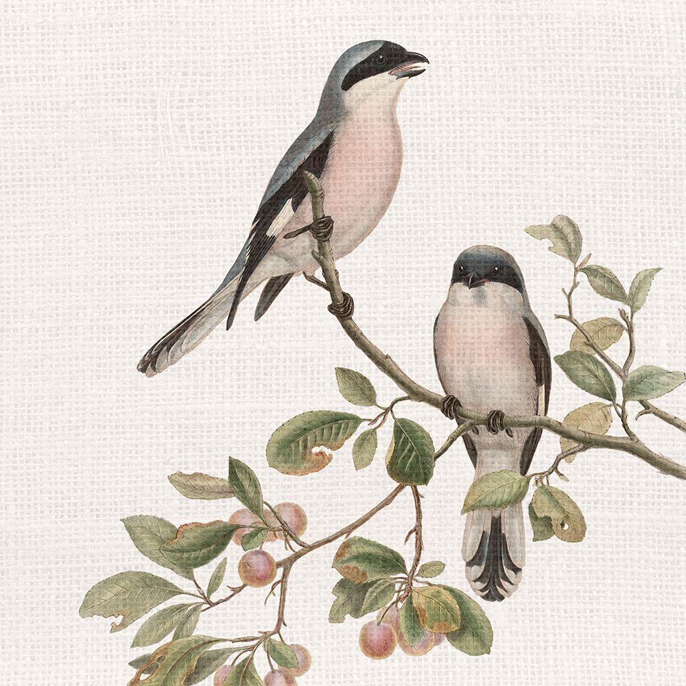 Song 1 art print by Kimberly Allen for $57.95 CAD