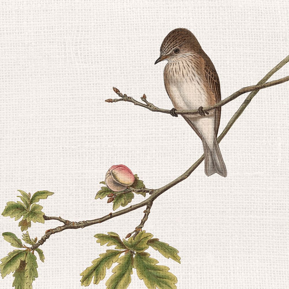 Song 2 art print by Kimberly Allen for $57.95 CAD