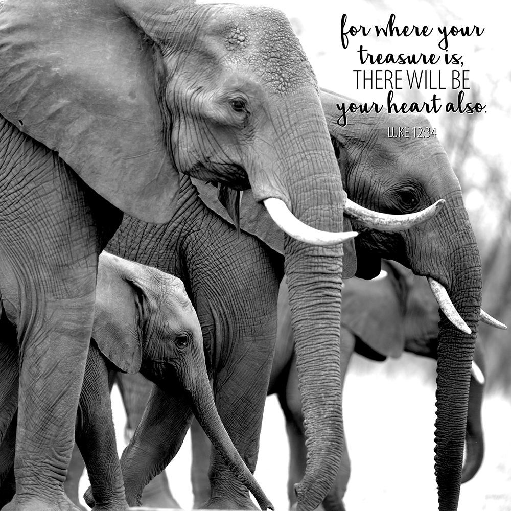 Treasure Elephants art print by Kimberly Allen for $57.95 CAD