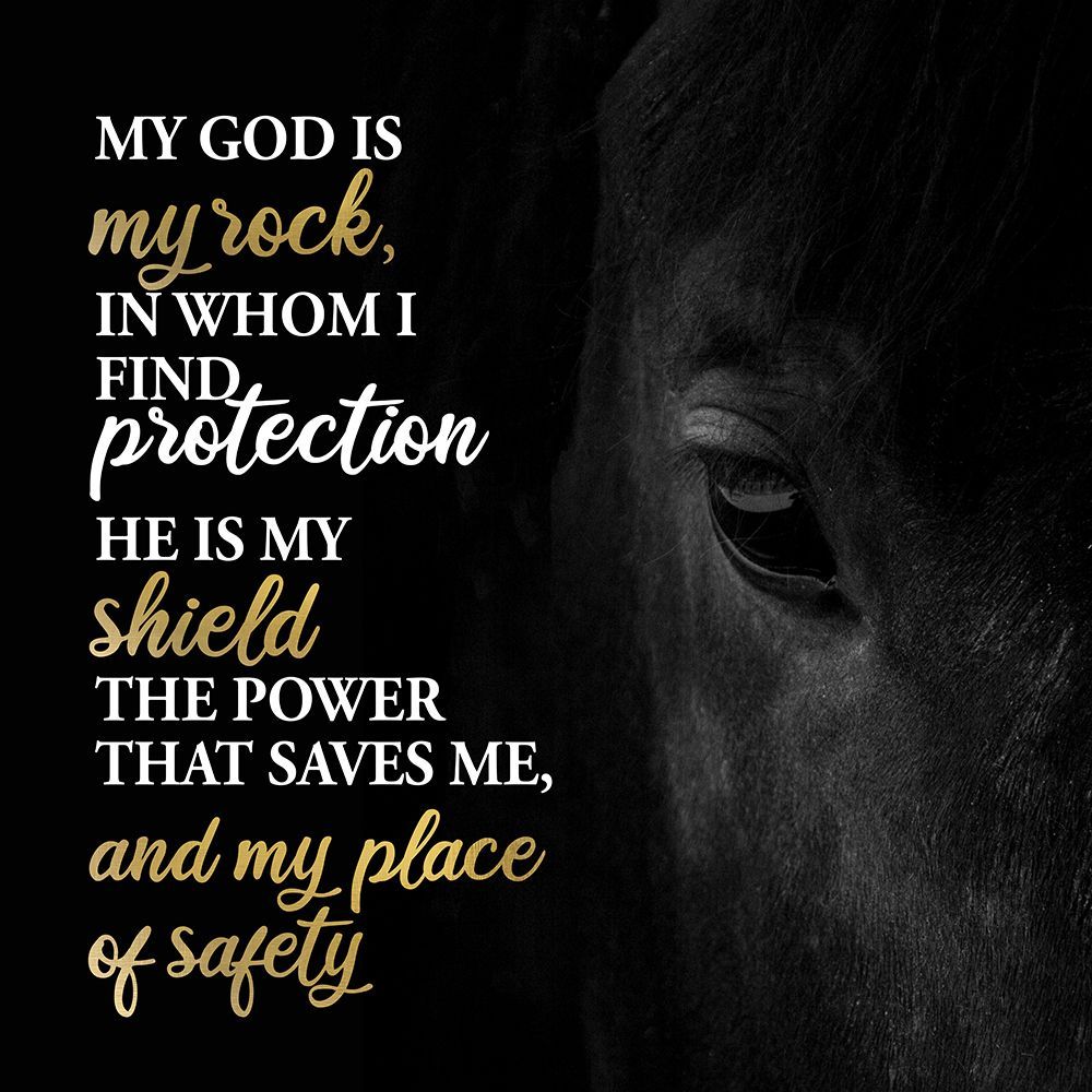 My Rock Horse art print by Kimberly Allen for $57.95 CAD