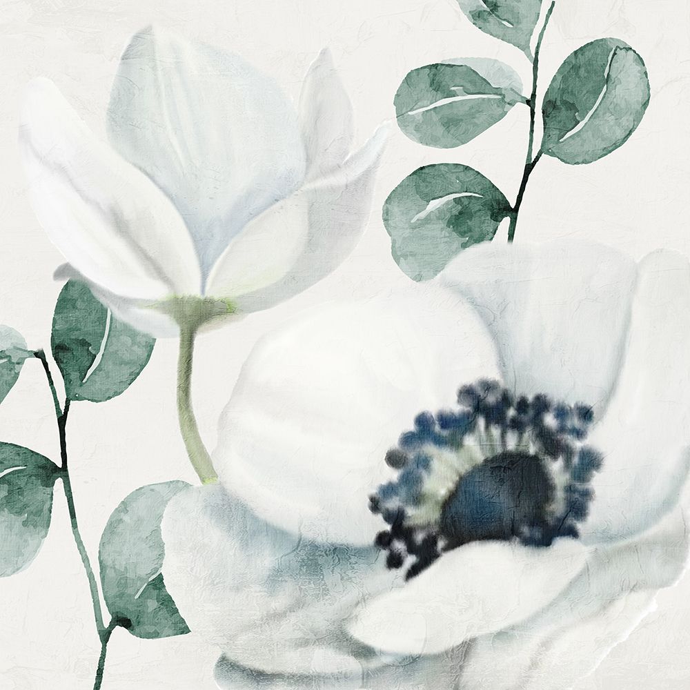 Anemones 2 art print by Kimberly Allen for $57.95 CAD