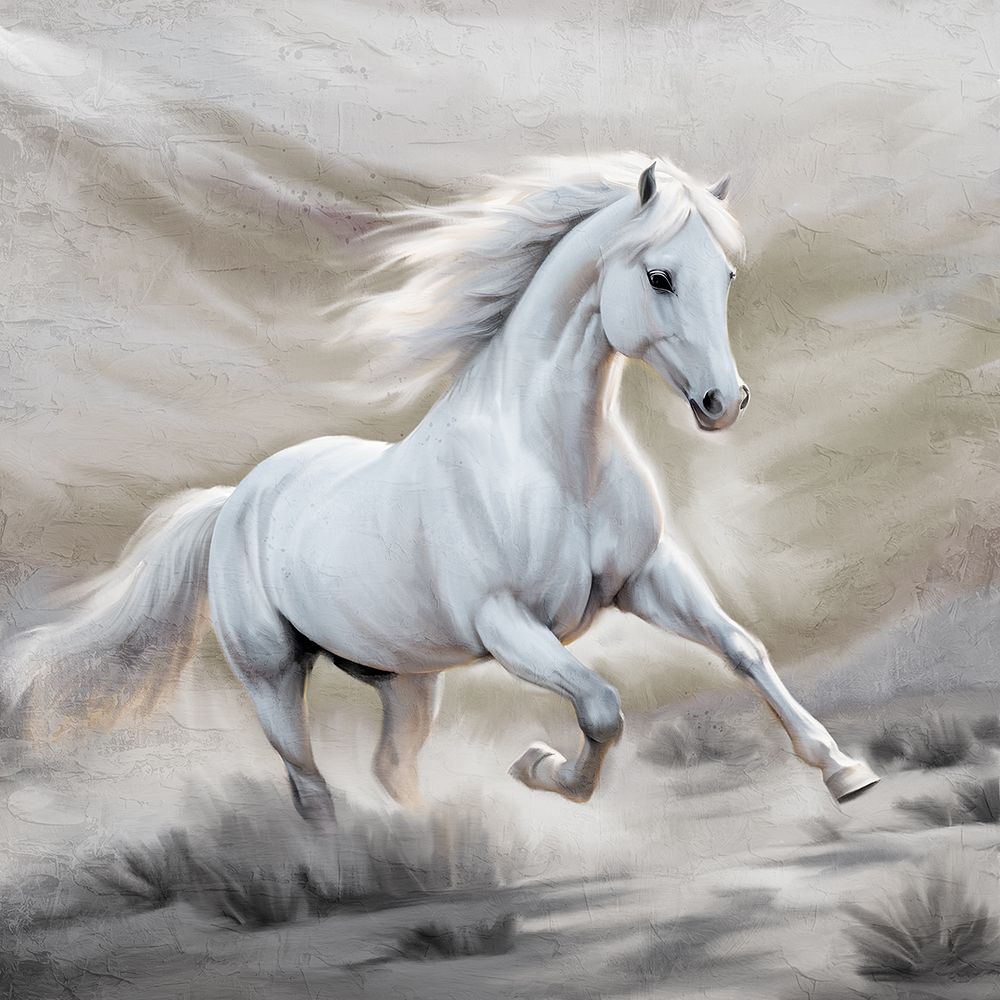 Wild White 1 art print by Kimberly Allen for $57.95 CAD