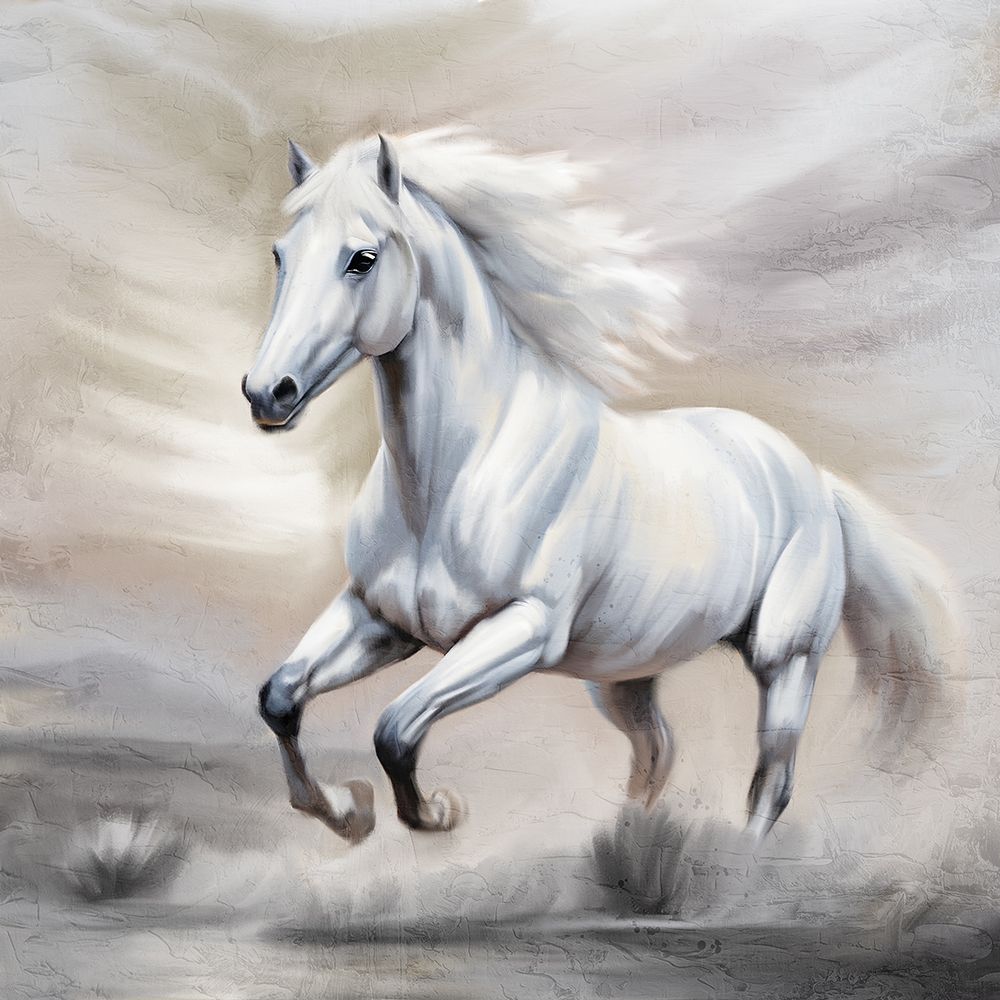 Wild White 2 art print by Kimberly Allen for $57.95 CAD