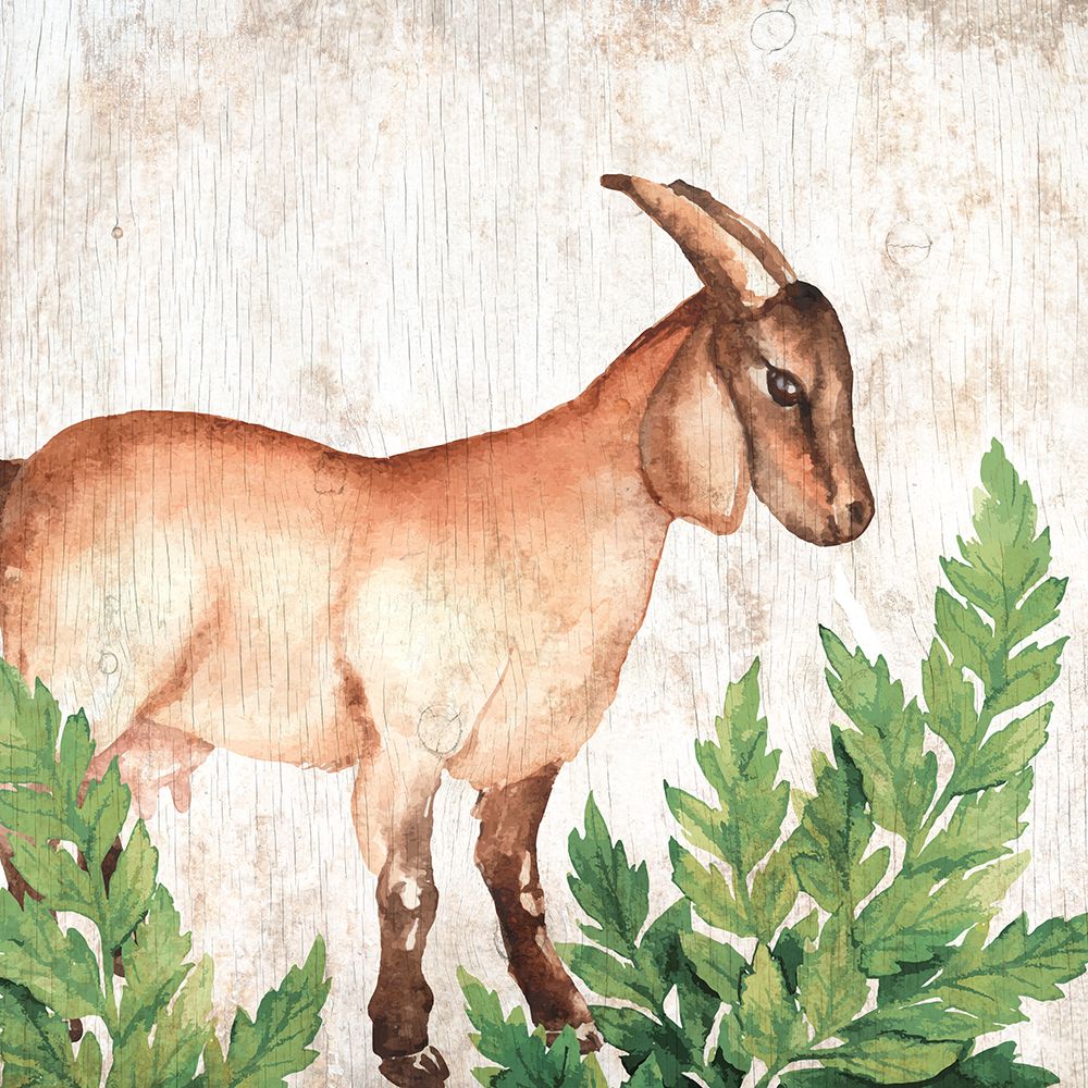 Farm Animals 3 art print by Kimberly Allen for $57.95 CAD