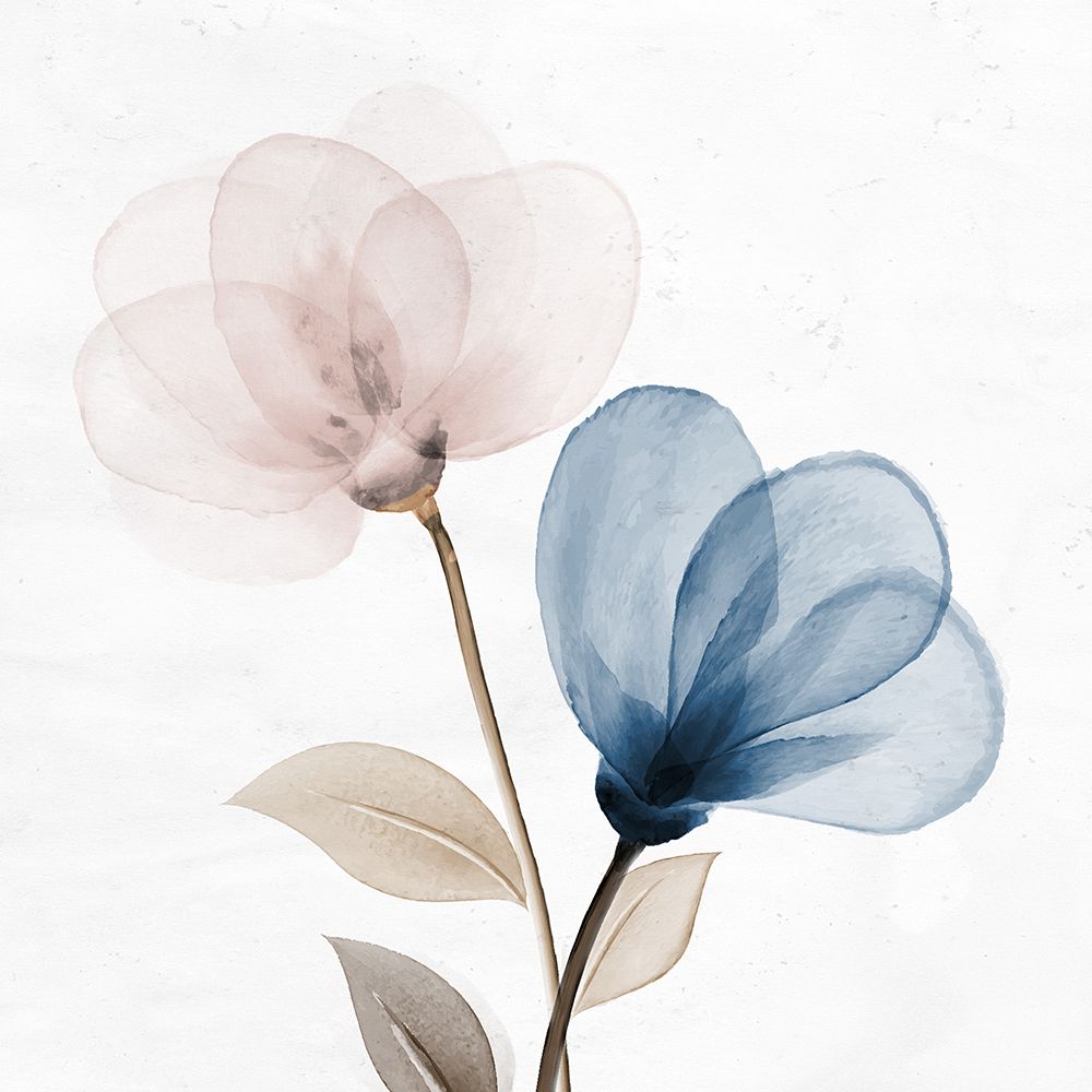 Dust Open Bloom 1 art print by Kimberly Allen for $57.95 CAD