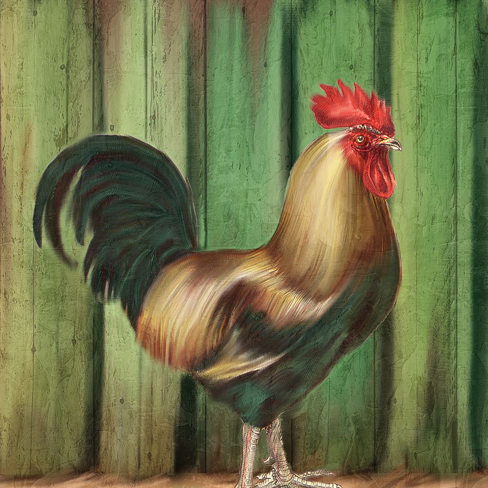 Rooster Fence art print by Kimberly Allen for $57.95 CAD