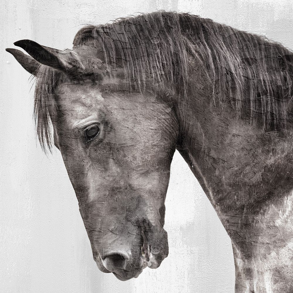 King art print by Kimberly Allen for $57.95 CAD