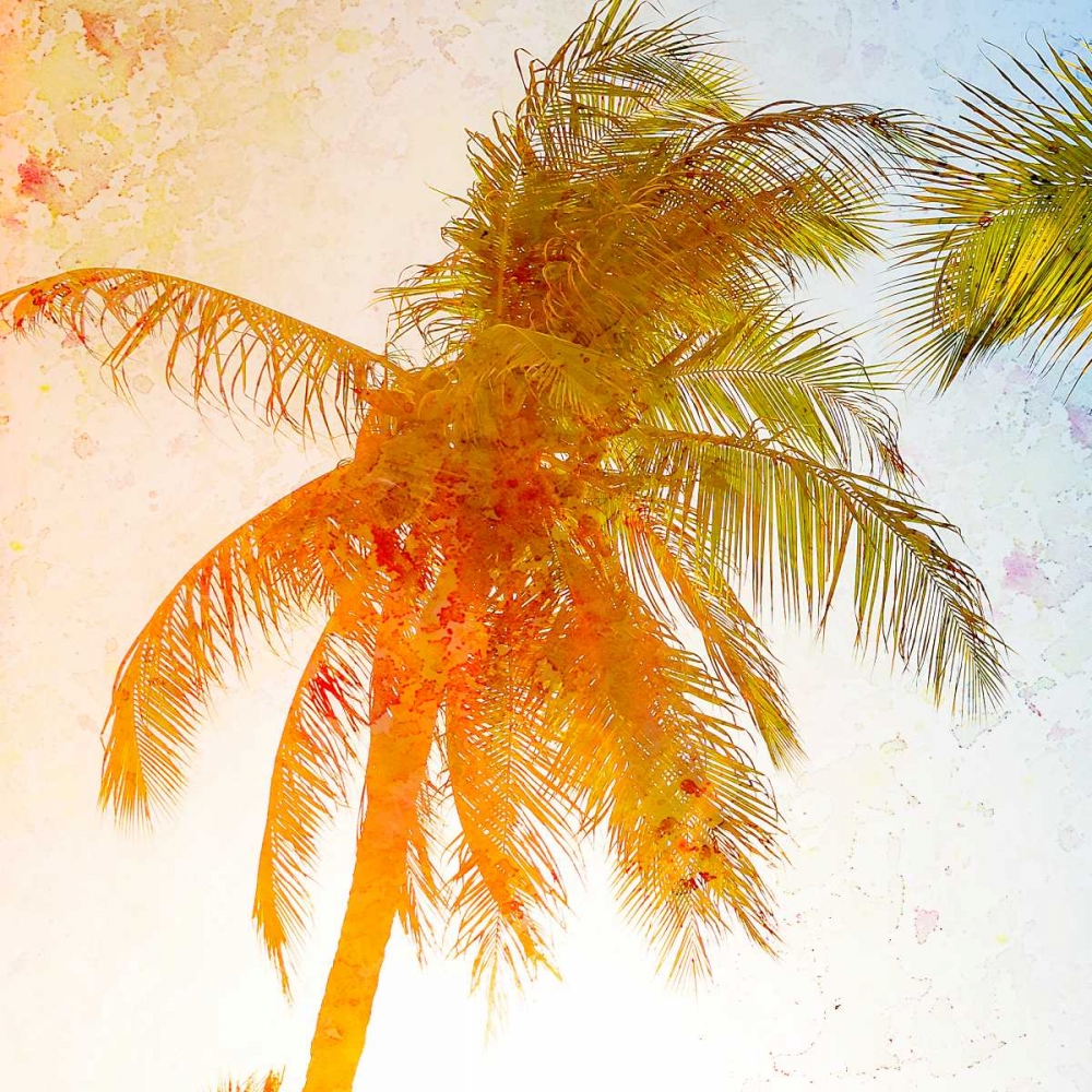 Bright Palm 1 art print by Kimberly Allen for $57.95 CAD