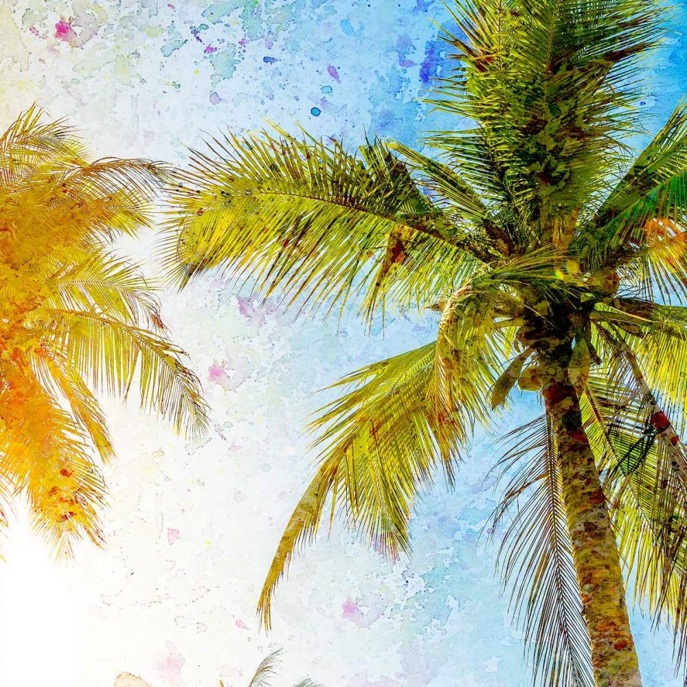 Bright Palm 2 art print by Kimberly Allen for $57.95 CAD