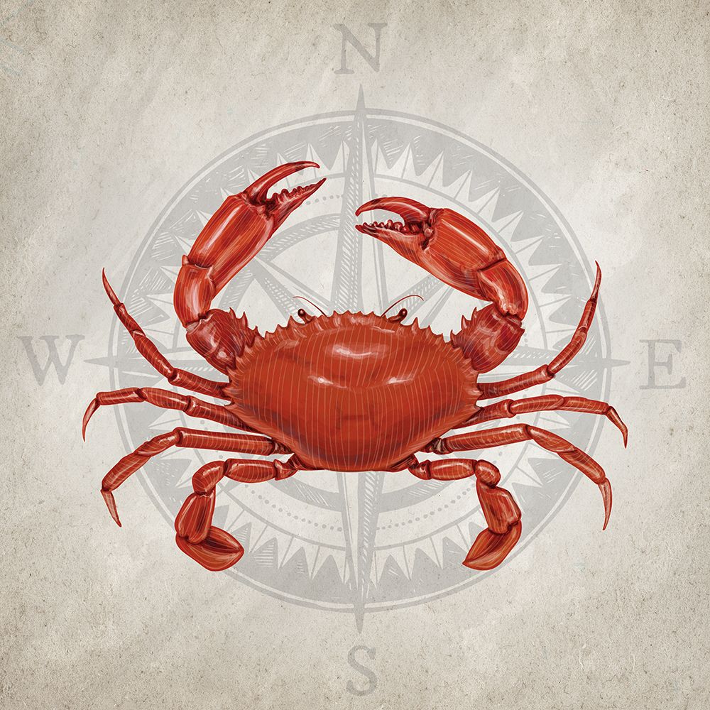 Crab art print by Kimberly Allen for $57.95 CAD