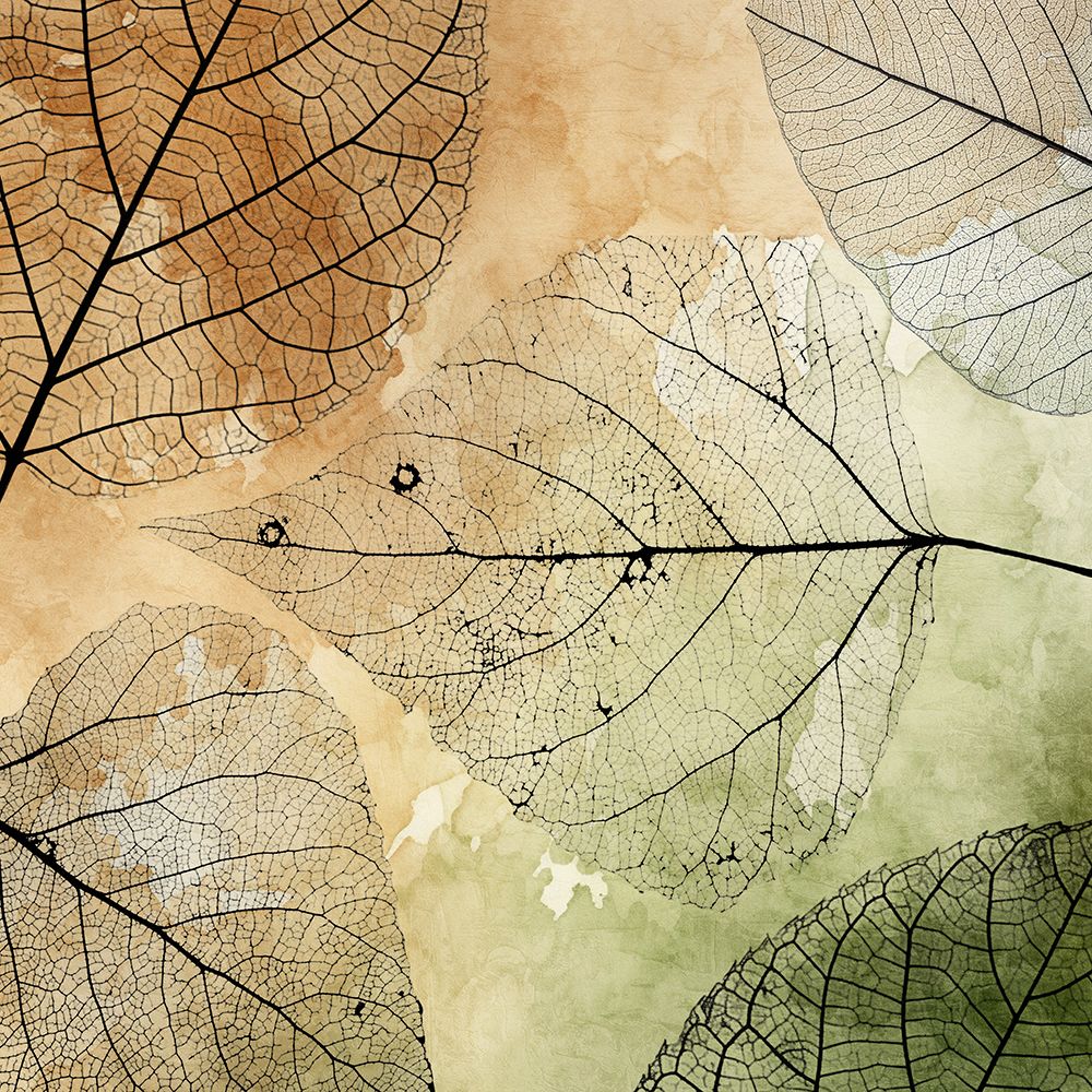 Imprint Leaves 3 art print by Kimberly Allen for $57.95 CAD