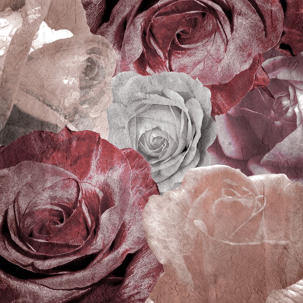 Rose Blooms 1 art print by Kimberly Allen for $57.95 CAD