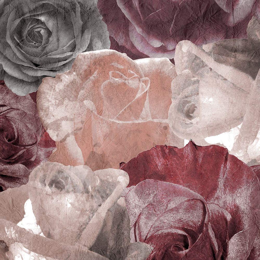 Rose Blooms 2 art print by Kimberly Allen for $57.95 CAD