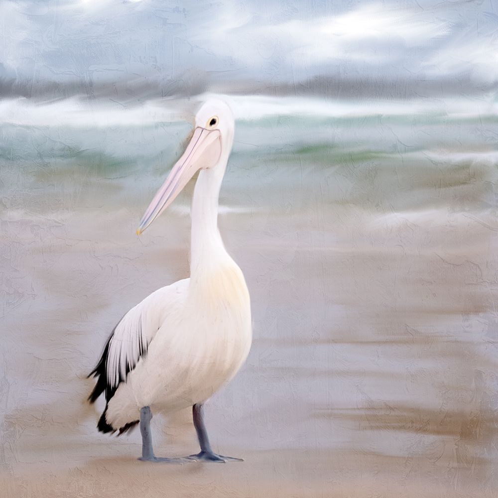 Pelican Walk art print by Kimberly Allen for $57.95 CAD