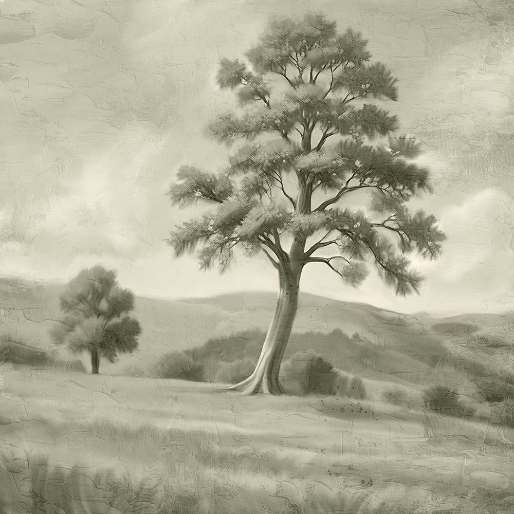 Clear Day art print by Kimberly Allen for $57.95 CAD