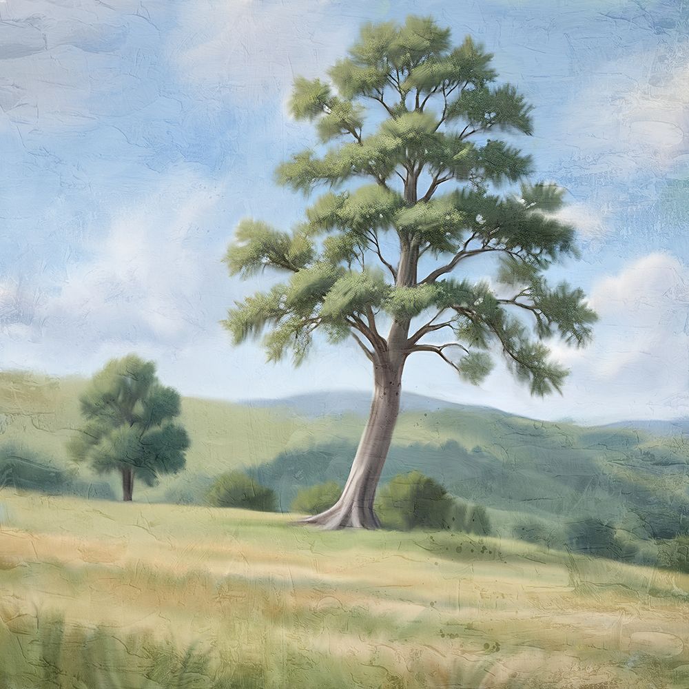 Clear Day art print by Kimberly Allen for $57.95 CAD