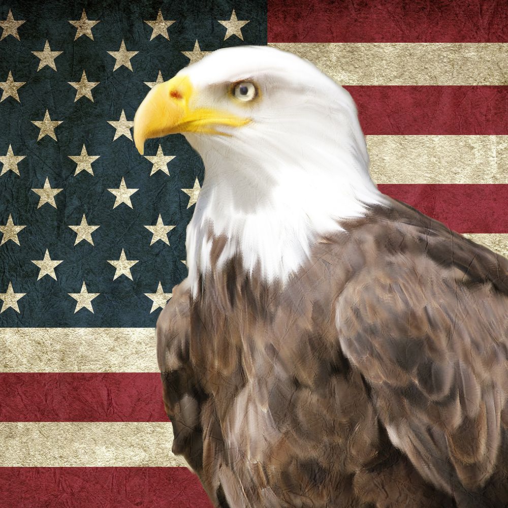Old Glory art print by Kimberly Allen for $57.95 CAD