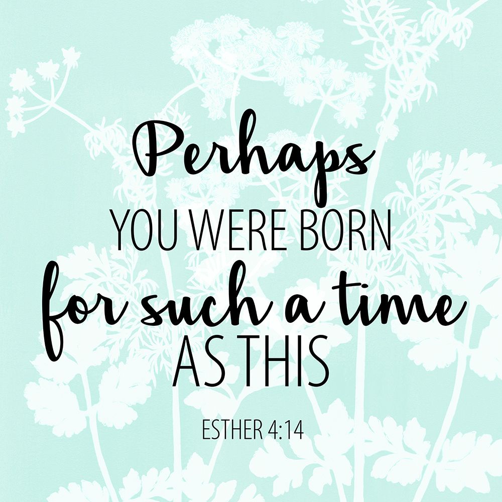 Born art print by Kimberly Allen for $57.95 CAD