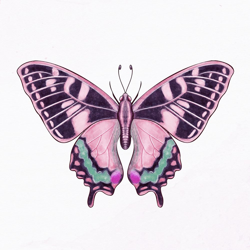 Spring Flight 2 art print by Kimberly Allen for $57.95 CAD