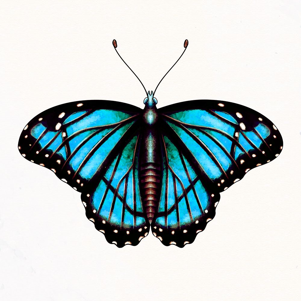 Spring Flight 3 art print by Kimberly Allen for $57.95 CAD