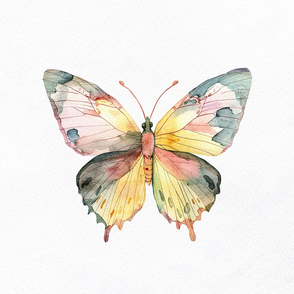 Watercolor Butterfly 1 art print by Kimberly Allen for $57.95 CAD